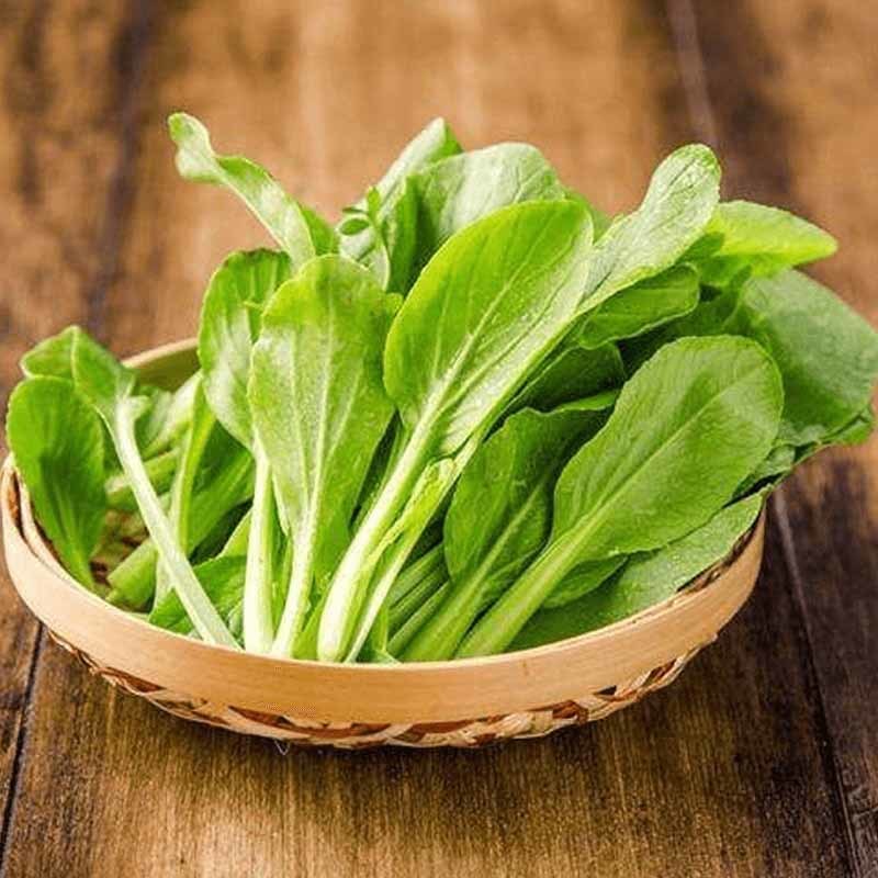 泰州食材批发
